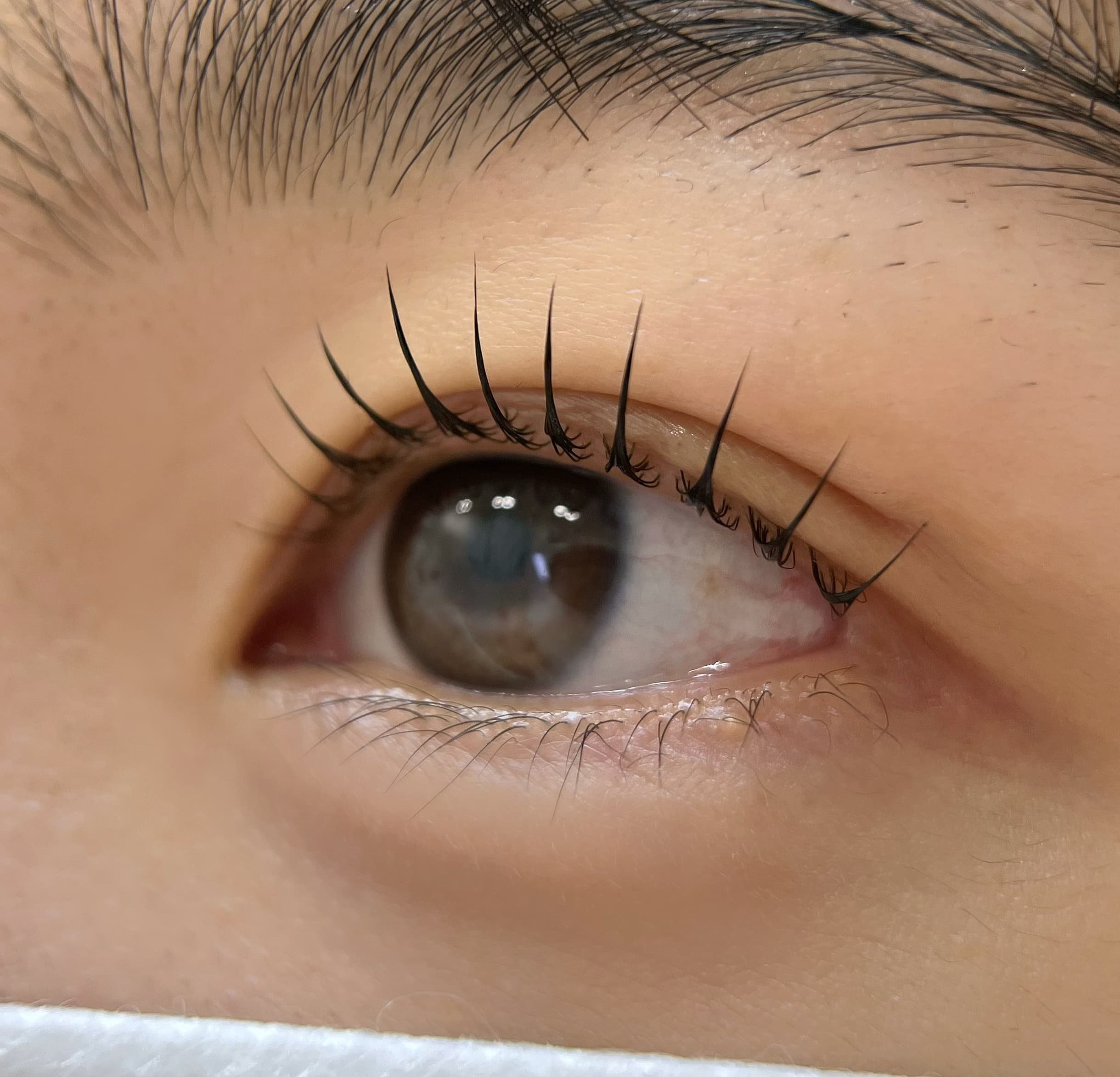 속눈썹 뷰러펌 5